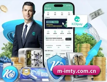 im体育 APP